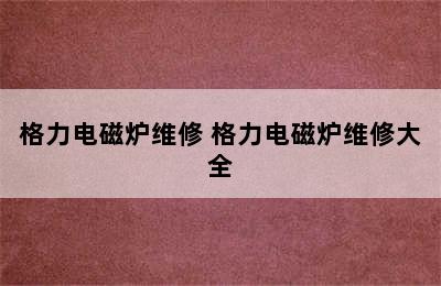 格力电磁炉维修 格力电磁炉维修大全